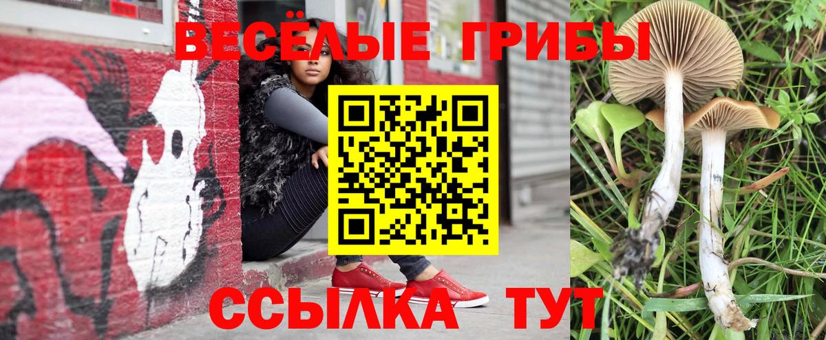 Галлюциногенные грибы Cubensis Кумертау
